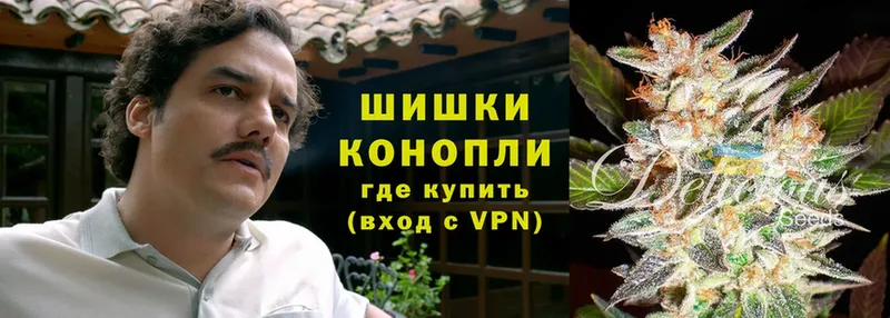 Шишки марихуана THC 21%  хочу наркоту  Богородск 